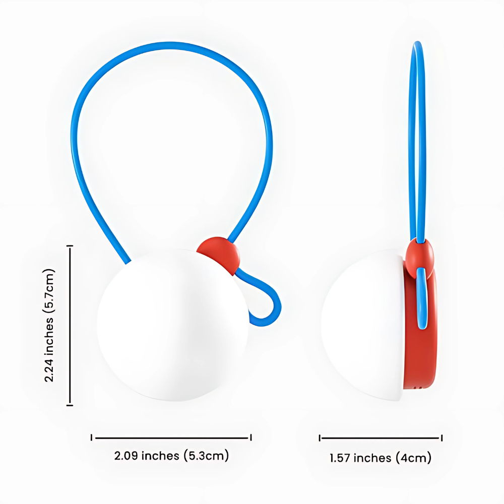 AI Companion Toy